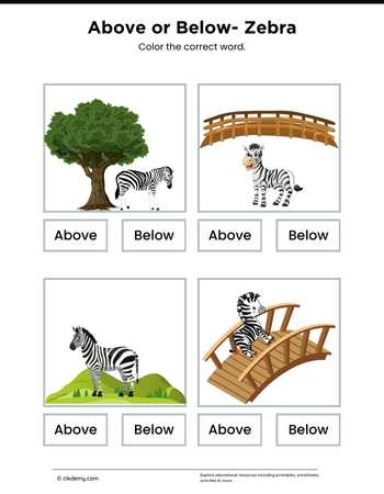 Above or Below- Zebra
