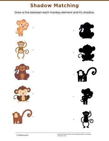 Monkey Shadow Matching