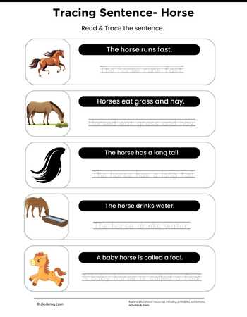 worksheet