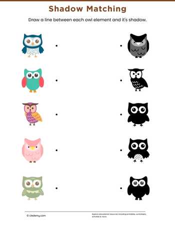 Owl Shadow Matching