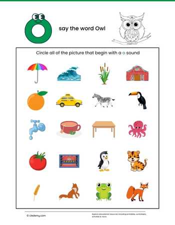 O Say the Word Owl