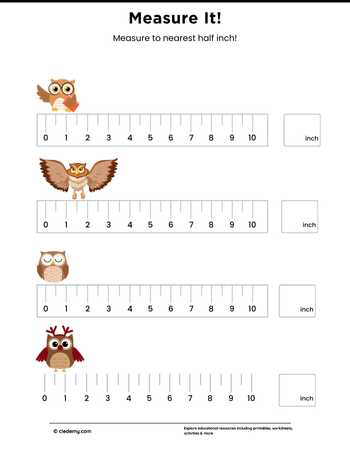 Measure It - Owl