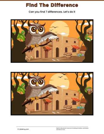 Find The Difference- Owl