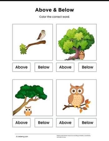 Above or Below- Owl