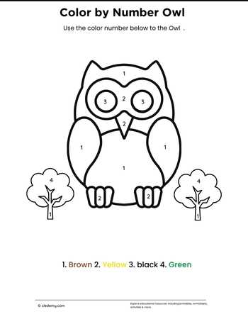 Color by Number Owl