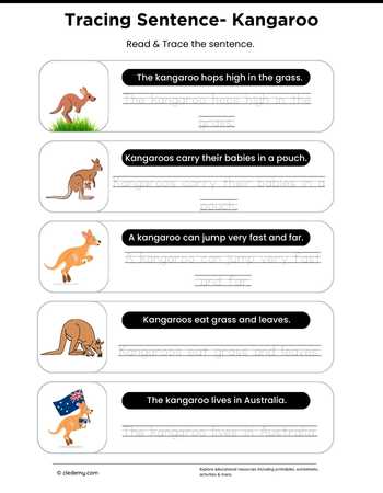 Tracing Sentence - Kangaroo