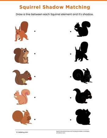 Squirrel Shadow Matching