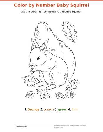 Color by Number Squirrel