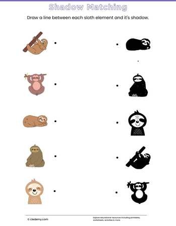Sloth Shadow Matching