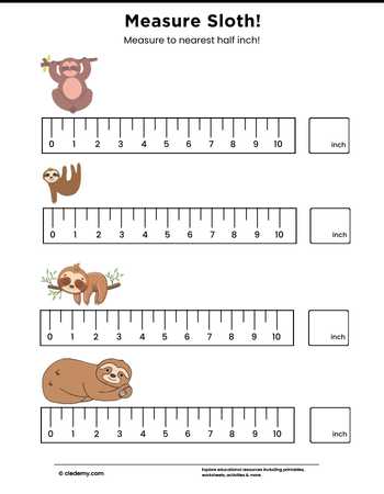 Measure It - Sloth