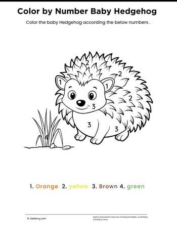 Color by Number Baby Hedgehog