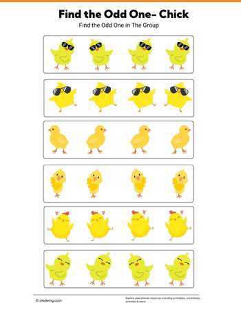 Find Odd One Out Chick