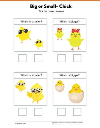 Big or Small- Chick