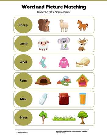 worksheet