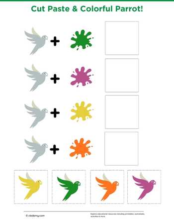 Cut Paste and Colorful Parrot