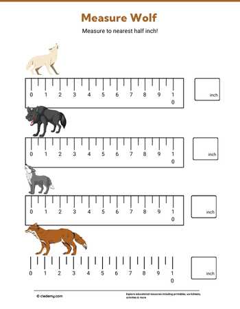 Measure It - Wolf