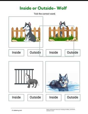 Inside or Outside- Wolf