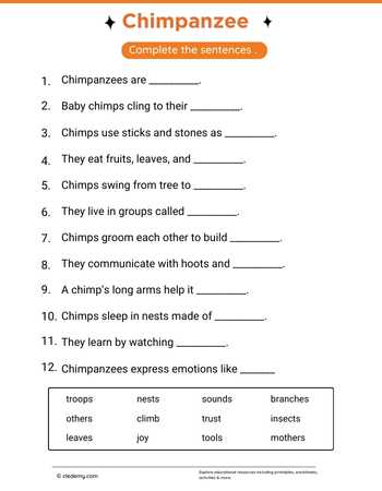 Complete Sentence Chimpanzee