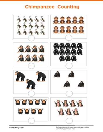 Chimpanzee Counting
