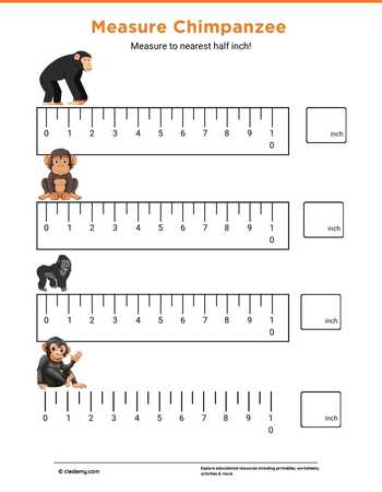 Measure It - Chimpanzee