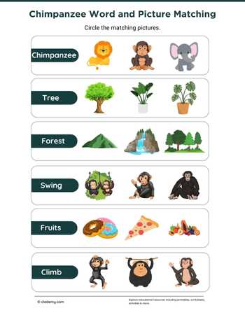 Chimpanzee Word and Picture Matching