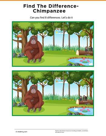Find The Difference- Chimpanzee