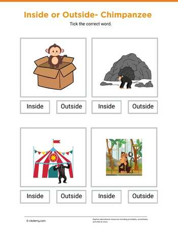 Inside or Outside- Chimpanzee