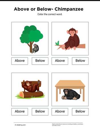 Above or Below Chimpanzee