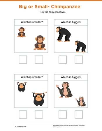 Big or Small- Chimpanzee