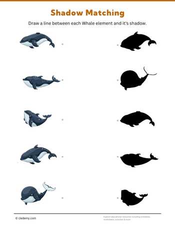 Whale Shadow Matching