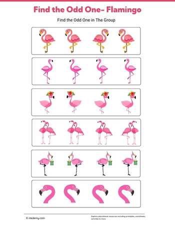 Find the Odd One- Flamingo
