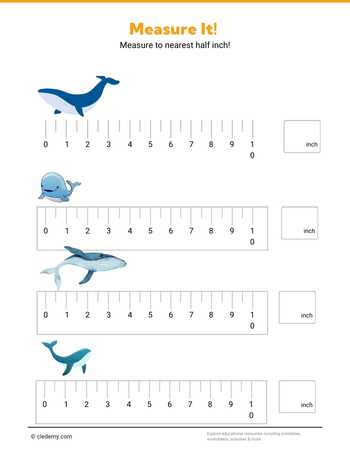 Measure It - Whale