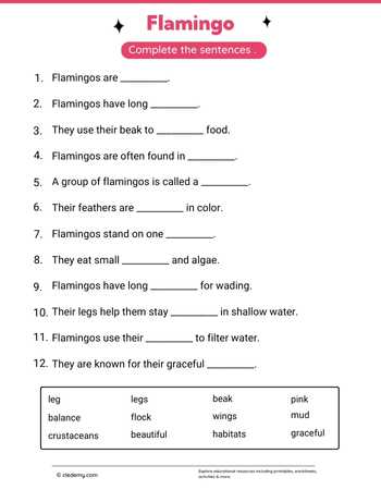 Complete Sentence Flamingo