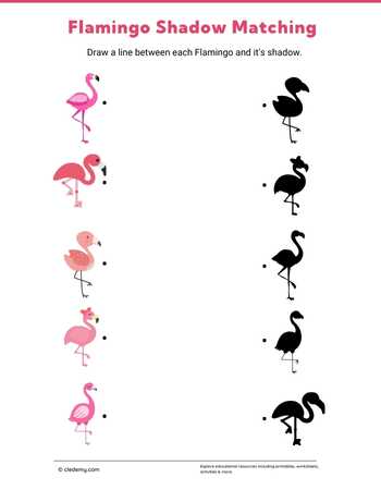 Flamingo Shadow Matching