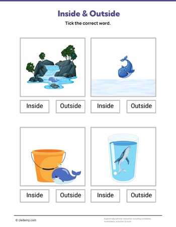 Inside or Outside- Whale