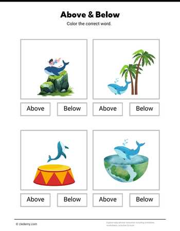 Above or Below- Whale