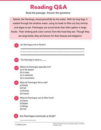 Read and Answer- Flamingo