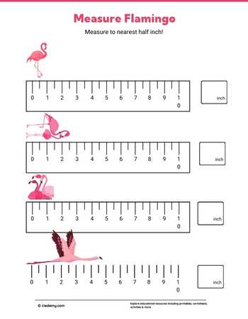 Measure It - Flamingo