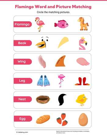 Flamingo Word and Picture Matching