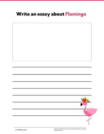 Write an Essay About Flamingo