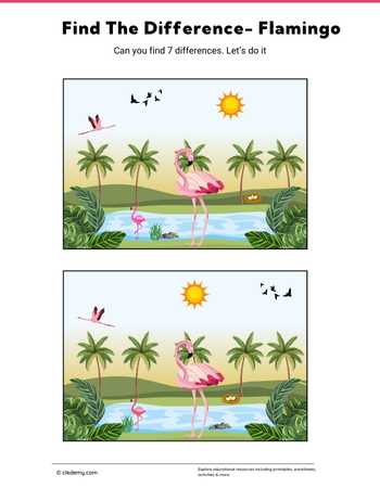 Find The Difference- Flamingo