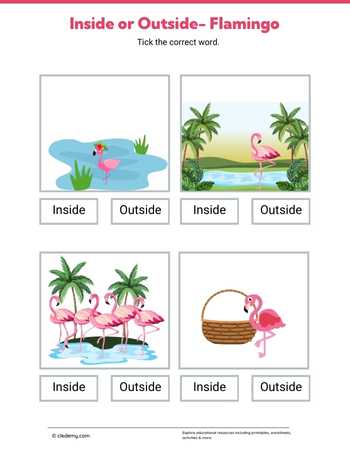 Inside or Outside- Flamingo