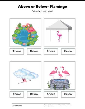 Above or Below- Flamingo