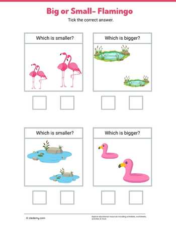 Big or Small- Flamingo