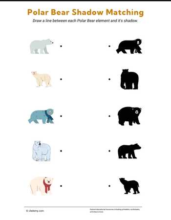 Polar Bear Shadow Matching