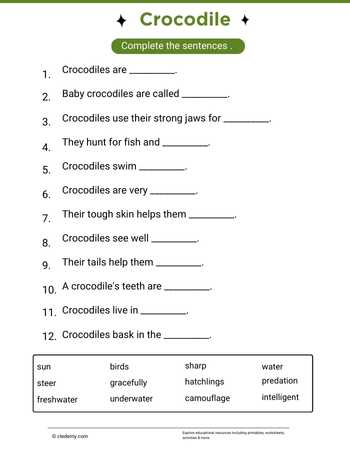 Complete Sentence Crocodile