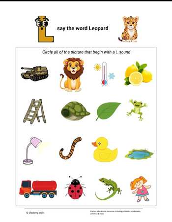 Circle the Picture - Leopard