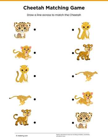 Cheetah Matching Game