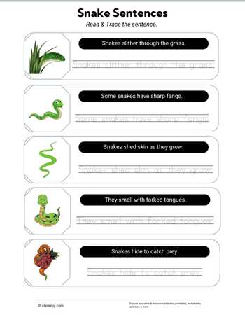 worksheet
