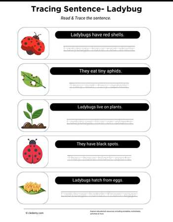 worksheet